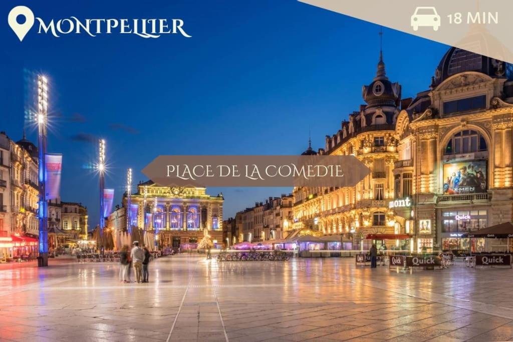 016- T2 Tropisme, Appart 1 Chambre,Clim,Wifi,Parking Montpellier Esterno foto