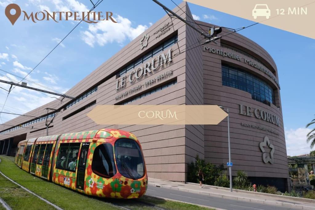 016- T2 Tropisme, Appart 1 Chambre,Clim,Wifi,Parking Montpellier Esterno foto