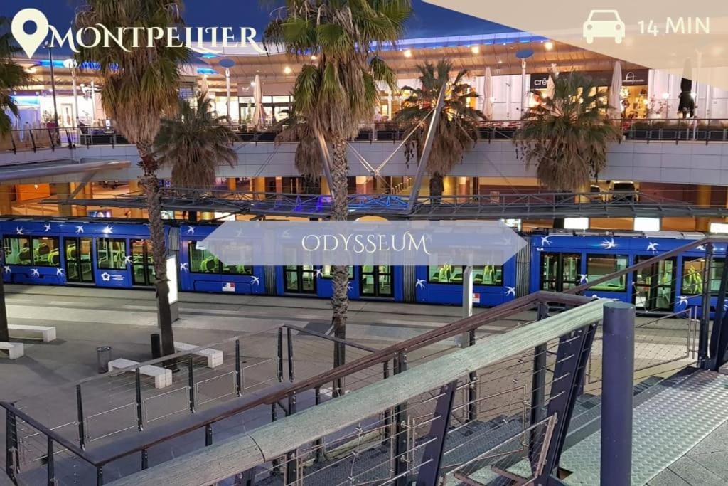 016- T2 Tropisme, Appart 1 Chambre,Clim,Wifi,Parking Montpellier Esterno foto